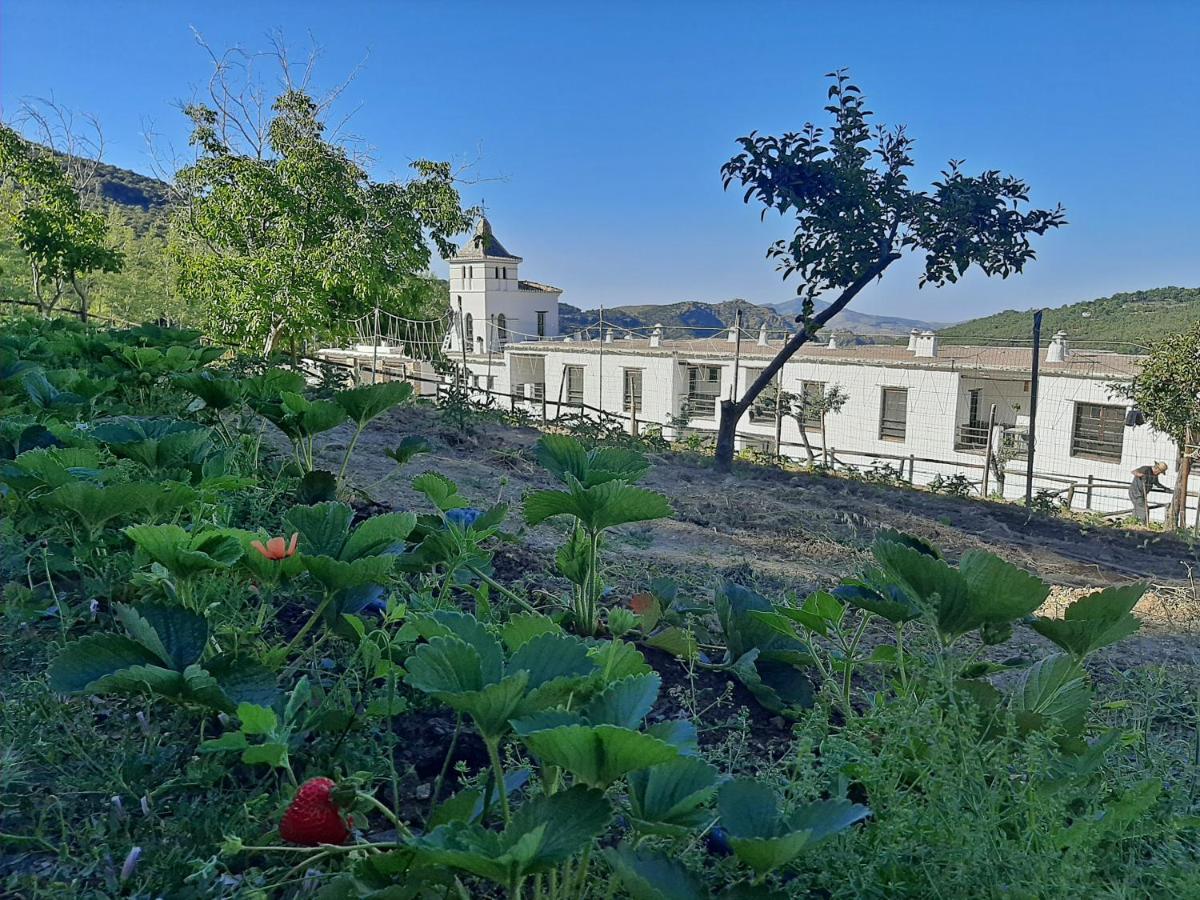 Hotel Apartamento Nueva Alcazaba Busquístar Kültér fotó